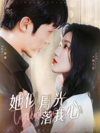 �����¹�������