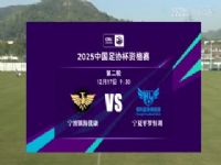 ��Э���ʸ��� �������ſ�VS����ƽ�޺��� 20241217