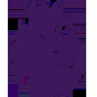 Ӣ������ ������VS�����ظ���20260228