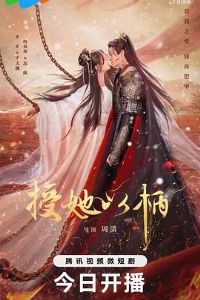 �����Ա�