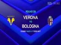 ������� ��������VS�������� 20250302