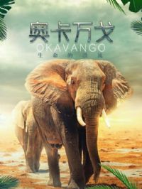 �¿���꣺�����ĺ���