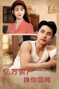 �����ʲ��������