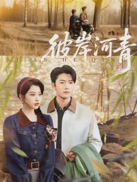 �˰�����