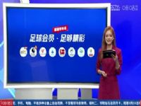 Ӣ������ ����˹ά��VS������ 20240817